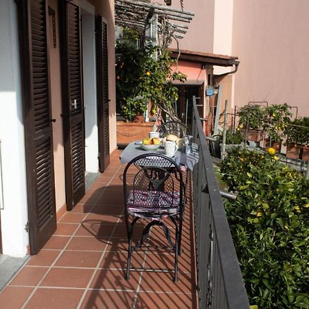 Apartament Panoramic Orselina Zewnętrze zdjęcie