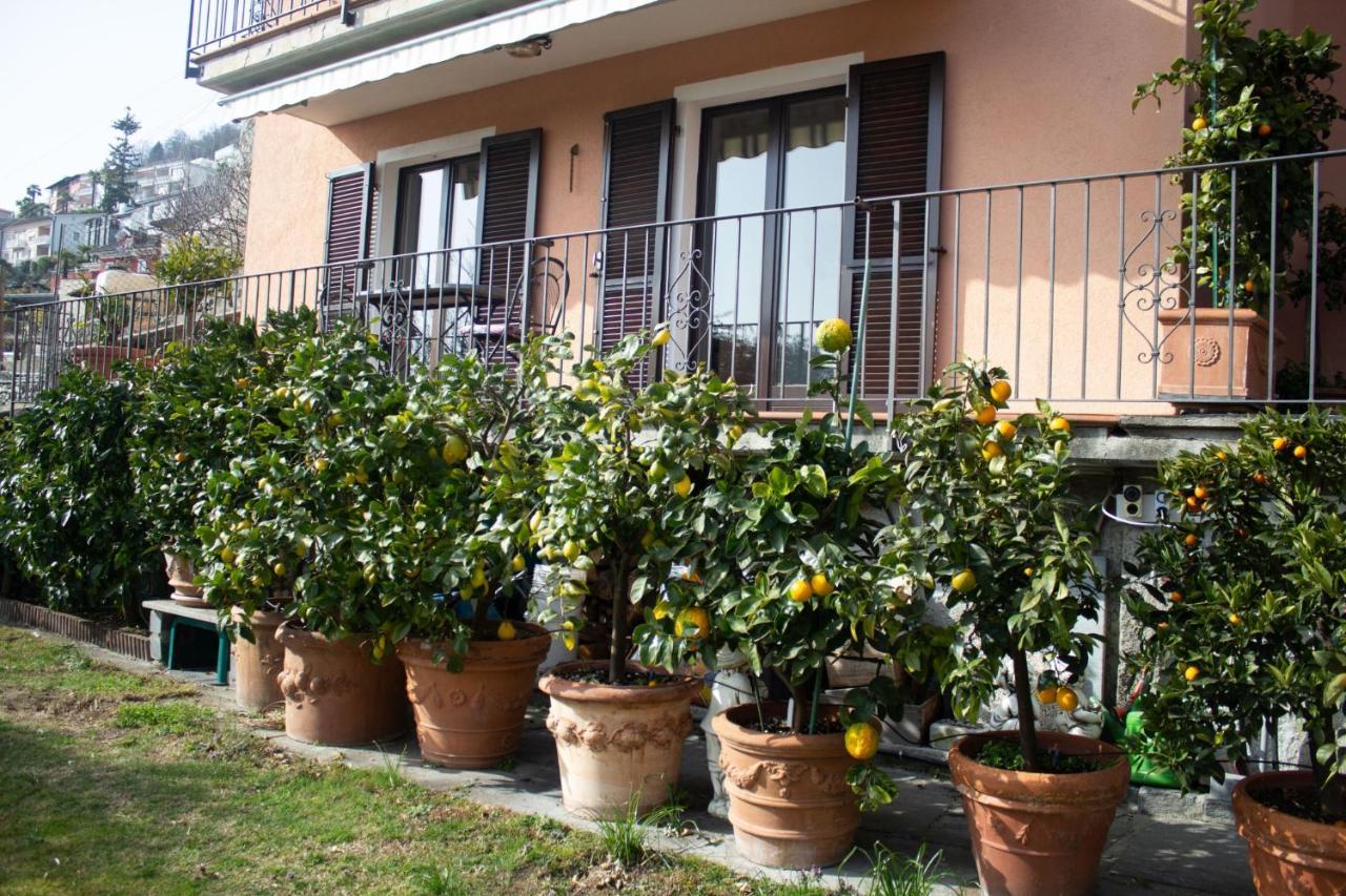 Apartament Panoramic Orselina Zewnętrze zdjęcie
